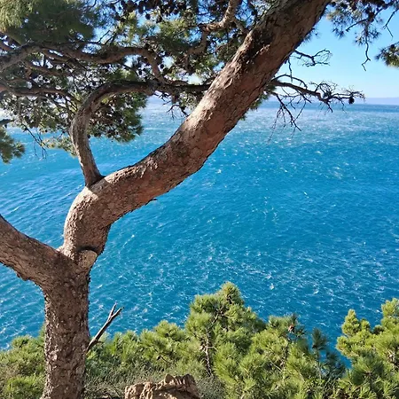 Ella * Makarska